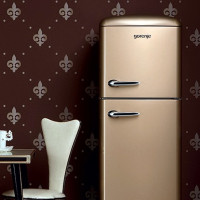 Gorenje Kühlschränke: Überprüfung des Sortiments + worauf vor dem Kauf zu achten ist