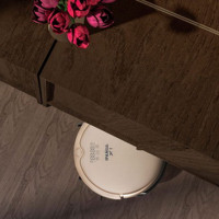 TOP-6 of the best Panda vacuum cleaner robots: options, advantages and disadvantages + selection tips