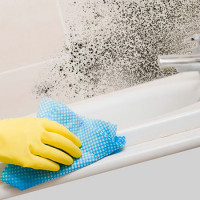 Svart mold på badet: hvordan bli kvitt en sopp + effektive midler for å bekjempe og forhindre