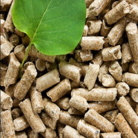 Jenis biofuel: perbandingan ciri-ciri bahan api pepejal, cecair dan gas