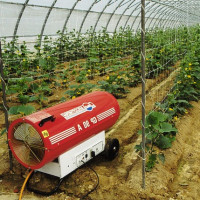 Ang sistema ng pag-init ng Do-it-yourself: ang pinakamahusay na mga paraan sa mga berdeng greenhouse ng taglamig