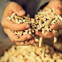 Alin ang mas mahusay at mas mura - mga pellets o may hawak ng gas? Paghahambing ng mga pangunahing tampok