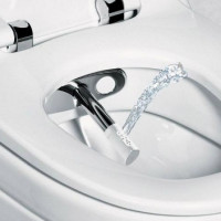 Tapa per a un bidet per a un vàter: tipus, descripció del principi de treball i consells per triar