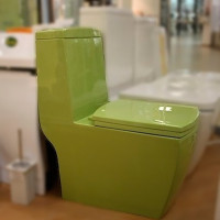 Toilette monobloc: appareil, avantages et inconvénients, comment choisir