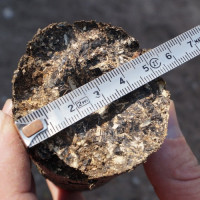 Mga briquette ng sawdust: kung paano gumawa ng 