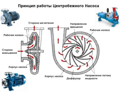 Centrifugal pump