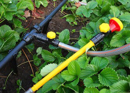 Approvvigionamento idrico estivo pieghevole da un pozzo in una casa di campagna Approvvigionamento idrico pieghevole