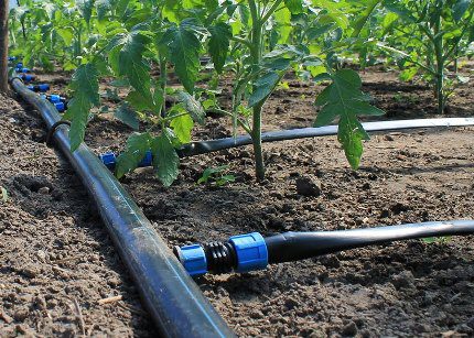 Approvvigionamento idrico estivo da un pozzo di campagna Sistema di irrigazione a goccia