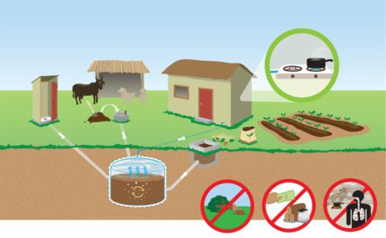 Jak získat biosag z hnoje doma Získávání bioplynu z hnoje