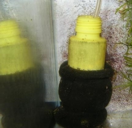Compact home-made filter for water purification Miniature water filter - how to make