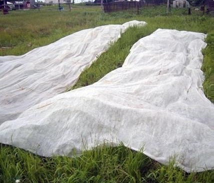 The bottom layer of a homemade water filter Material for making a homemade water filter
