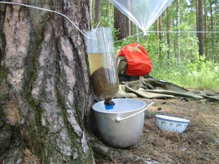 How to make a carbon filter for water do-it-yourself Charcoal water filter simple