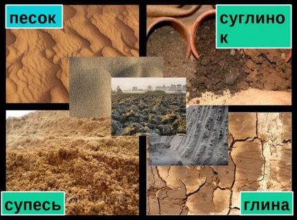 Soil types Soil types