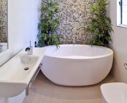 Hoe u een gietijzeren bad kiest op basis van de kleur van de kom Rond bad in het interieur