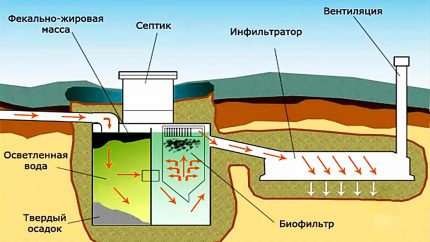 A szeptikus tartály működésének elve a Tank nyári ház elrendezéséhez Tartály szennyvízkezelési folyamata
