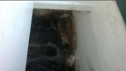 Active silt in a septic tank septic tank Eurobion Yubas Active sludge