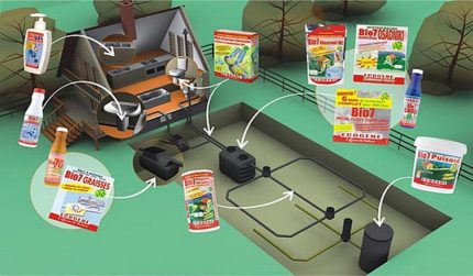 Comment choisir des bactéries vivantes pour les fosses septiques Conditions de sélection du bioactivateur