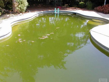Λιωμένο νερό πισίνας χωρίς καθαρισμό φίλτρου Ρύπανση στην πισίνα