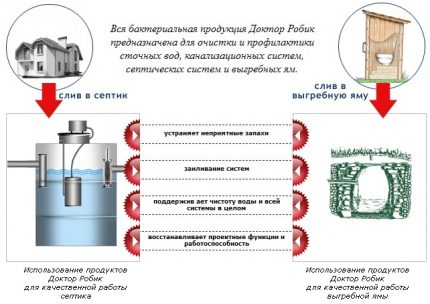 Où les bactéries sont utilisées pour les fosses septiques Dr. Robik Gamme de produits de la marque Dr. Robik