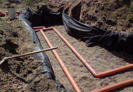 Champ de filtration de fosse septique