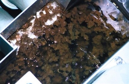Ang proseso ng paglilinis ng tubig gamit ang isang coagulant Ang laki ng mga natuklap ay nabuo