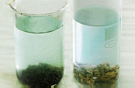 Ang pagbuo ng sediment sa ilalim ng impluwensya ng isang coagulant para sa paglilinis ng tubig Mga Timbang na Flakes