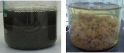 Mga uri ng coagulants para sa paggamot ng tubig at paglilinis Ang prinsipyo ng pagkilos ng reagents