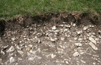 Limestone rubble close to the surface Rock type soil