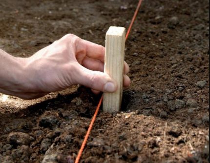 Marking for the device of a septic tank made of concrete rings Pit marking