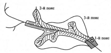 Water protection zone belts Sanitary Protection Belts