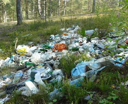 Landfill in the conservation area of the water supply facility Garbage disposal in the water protection zone
