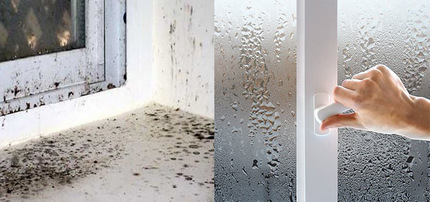 Janelas de plástico como causa de mofo preto perigoso Janelas e moldes de plástico