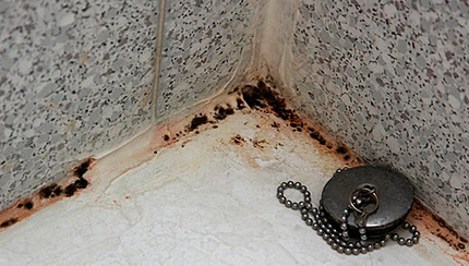 Mofo preto no banheiro é perigoso para estruturas e acabamentos Má ventilação no banheiro
