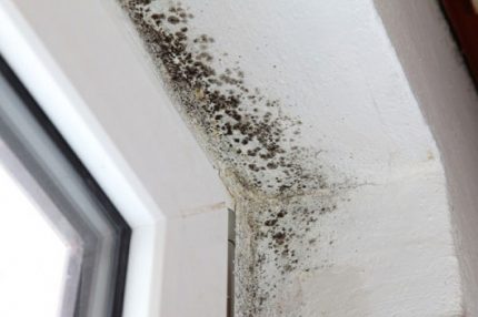 What are ventilation ducts for in multi-storey buildings? Mold in the apartment