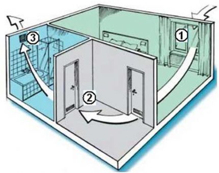 Natural ventilation scheme of the apartment Natural air circulation