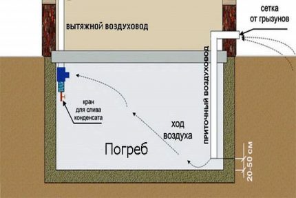 Diagrama da construção da adega de ventilação natural com dois tubos Saída do tubo de saída