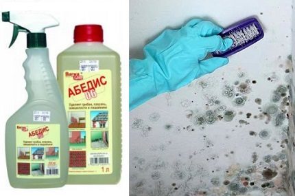 Destructive and prophylactic antifungal agent for wall treatment Antifungal Abedis 06