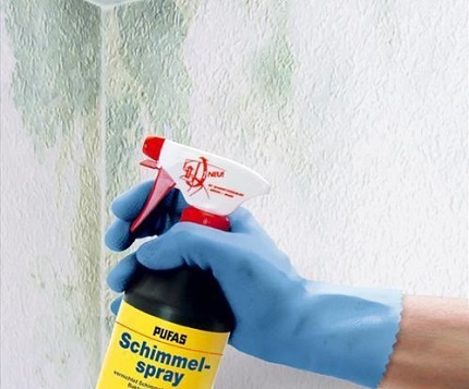How to deal with fungus on the walls with antifungal agents Fungus removal