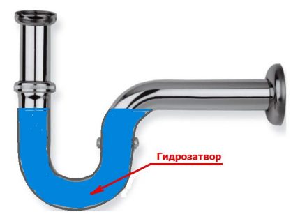 Ano ang hitsura ng isang shower trap Siphon water seal