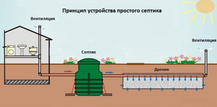 Scheme of the septic tank sedimentation device with an infiltrator Septic tank location