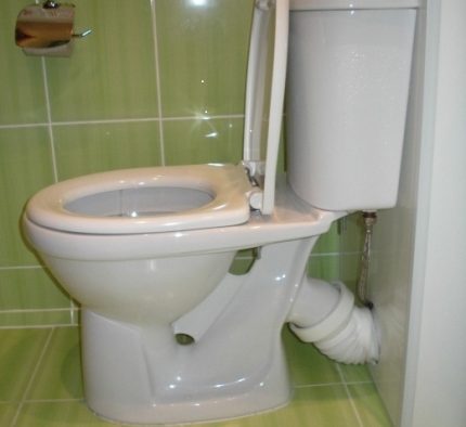 The smell of sewage in the toilet due to lack of water plug The smell of sewage in the toilet due to lack of water plug