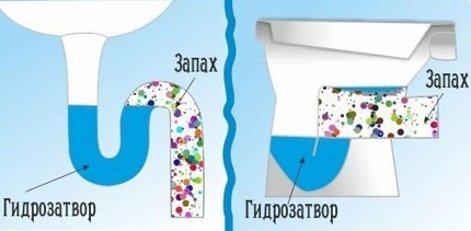 Zamka protiv mirisa u stanu Sifonska brtva za vodu