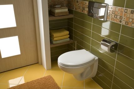 Mga kawalan ng mga baso sa banyo sa pag-install Kakulangan ng pag-install para sa banyo