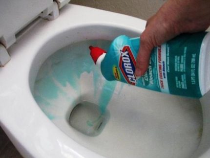 Cleaning the toilet from the smell of sewage in the toilet Cleaning the toilet