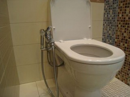Shower instead of a bidet toilet Bidet toilet top