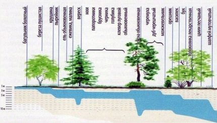 Détermination de la profondeur des eaux souterraines Détermination de la profondeur des eaux souterraines