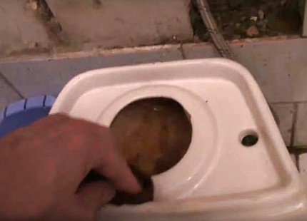Lap rak mangkuk tandas