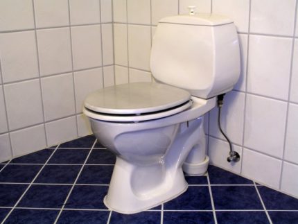 Vertical flush toilet Vertical flush toilet