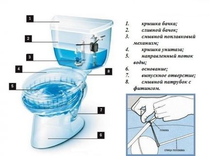 Monolithic Toilet Design Monolithic tanks have a special design