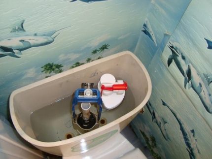 How to set up toilet fittings with bottom eyeliner Toilet seat fittings compact